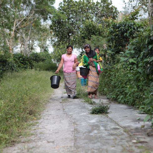 Terroir Indonesia Sumatra Orang Utan